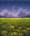 (image for) Once Upon a Spring